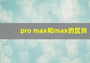 pro max和max的区别